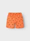 name it PRINT ZWEMSHORTS, Bird of Paradise, highres - 13213886_BirdofParadise_002.jpg