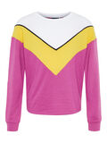 Name it SUDADERA, Purple Orchid, highres - 13162076_PurpleOrchid_001.jpg