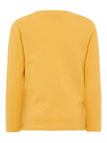 Name it EMBOSSED LETTERS LONG-SLEEVED T-SHIRT, Amber Gold, highres - 13171964_AmberGold_002.jpg