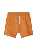 Name it COTTON SHORTS, Lion, highres - 13178752_Lion_001.jpg