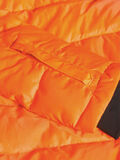 Name it FUNKTIONALE, COLOURBLOCKING WINTERJACKE, Shocking Orange, highres - 13156627_ShockingOrange_007.jpg