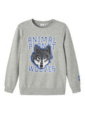 Name it ANIMAL PLANET SWEATSHIRT, Grey Melange, highres - 13212653_GreyMelange_001.jpg