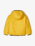 Name it WENDBARE LEICHTE WATTIERTE JACKE, Golden Rod, highres - 13174182_GoldenRod_004.jpg