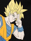 name it DRAGON BALL HOODIE, Black, highres - 13219259_Black_005.jpg