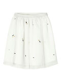 Name it SUNFLOWER SKIRT, White Alyssum, highres - 13202368_WhiteAlyssum_001.jpg