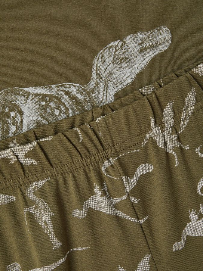 magneet Doe herleven Chemie DINOSAURUS PYJAMA - Jongens | Groen | NAME IT® Nederland