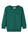 Name it NORMAL PASSFORM SWEATSHIRT, Forest Biome, highres - 13212247_ForestBiome_001.jpg