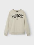 Name it POKEMON SWEATSHIRT, Peyote, highres - 13241811_Peyote_003.jpg