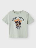 name it ORGANIC COTTON T-SHIRT, Aqua Gray, highres - 13243183_AquaGray_003.jpg