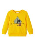 Name it COUPE CLASSIQUE SWEAT-SHIRT, Daylily, highres - 13206791_Daylily_001.jpg