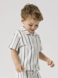 name it STRIPED SHIRT, White Alyssum, highres - 13247457_WhiteAlyssum_1215901_008.jpg