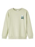Name it PRINTED SWEATSHIRT, Lint, highres - 13219706_Lint_001.jpg