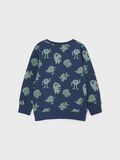 Name it ALL-OVER PRINT SWEATSHIRT, Titan, highres - 13198319_Titan_002.jpg