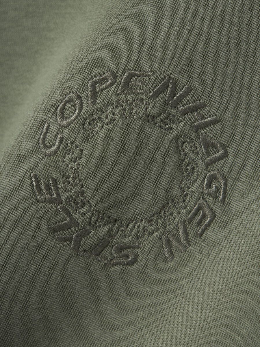 name it LÅNGÄRMAD HOODIE, Agave Green, highres - 13237522_AgaveGreen_005.jpg