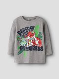 Product image thumbnail 1 PAW PATROL T-SHIRT, Grey Melange