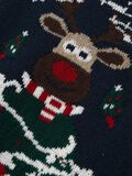 name it CHRISTMAS KNITTED PULLOVER, Dark Sapphire, highres - 13235139_DarkSapphire_005.jpg