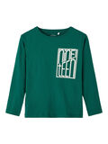 Name it LOOSE FIT LONG SLEEVED TOP, Forest Biome, highres - 13212225_ForestBiome_001.jpg