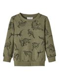 Name it REGULAR FIT SWEATSHIRT, Beetle, highres - 13206640_Beetle_001.jpg