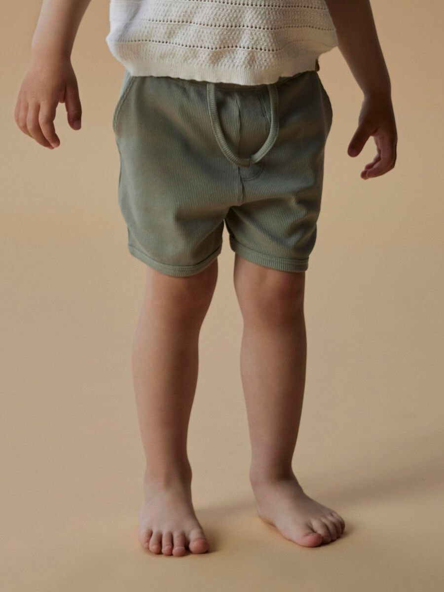 name it NORMAL PASSFORM SHORTS, Seagrass, highres - 13250975_Seagrass_007.jpg