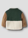 Product image thumbnail 2 TEDDY JACKET, Jungle Green