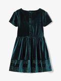 Name it MANCHES COURTES, VELOURS ROBE, Green Gables, highres - 13185745_GreenGables_004.jpg