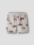 Product image thumbnail - ORGANIC COTTON SHORTS, Chateau Gray | 1