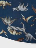 name it DINOSAURIER- SOFTSHELL-JACKE, Moonlit Ocean, highres - 13196885_MoonlitOcean_005.jpg