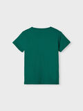 Name it PRINTED T-SHIRT, Forest Biome, highres - 13212223_ForestBiome_002.jpg
