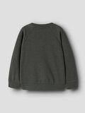 Product image thumbnail - REGULAR FIT SWEATSHIRT, Peat | 2