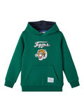 Name it CORTE REGULAR SUDADERA CON CAPUCHA, Forest Biome, highres - 13213734_ForestBiome_001.jpg