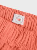 name it COURT SHORT, Fresh Salmon, highres - 13238070_FreshSalmon_005.jpg