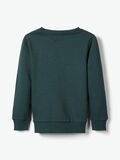 Name it PRINTED SWEATSHIRT, Green Gables, highres - 13173981_GreenGables_004.jpg