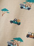 name it REGULAR FIT T-SHIRT, Island Fossil, highres - 13238147_IslandFossil_005.jpg