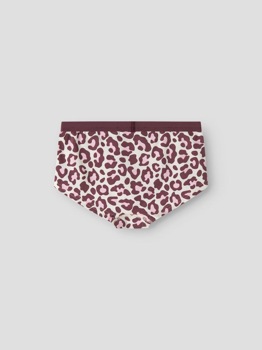 Carousel image 2 3 PACK ORGANIC COTTON HIPSTER, Antique White