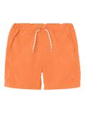 name it REGULAR FIT SWIM SHORTS, Bird of Paradise, highres - 13226624_BirdofParadise_001.jpg