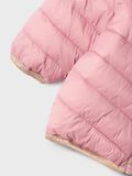 Name it PADDED JACKET, Lilas, highres - 13227819_Lilas_004.jpg