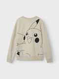 Name it POKEMON SWEATSHIRT, Peyote, highres - 13241811_Peyote_002.jpg
