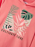 Name it CULTIVATE HOODIE, Georgia Peach, highres - 13201335_GeorgiaPeach_005.jpg