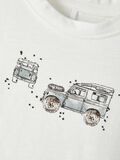 Name it RUSTY CAR T-SHIRT, White Alyssum, highres - 13203219_WhiteAlyssum_005.jpg