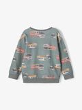 Name it ESTAMPADA SUDADERA, Sedona Sage, highres - 13194555_SedonaSage_004.jpg