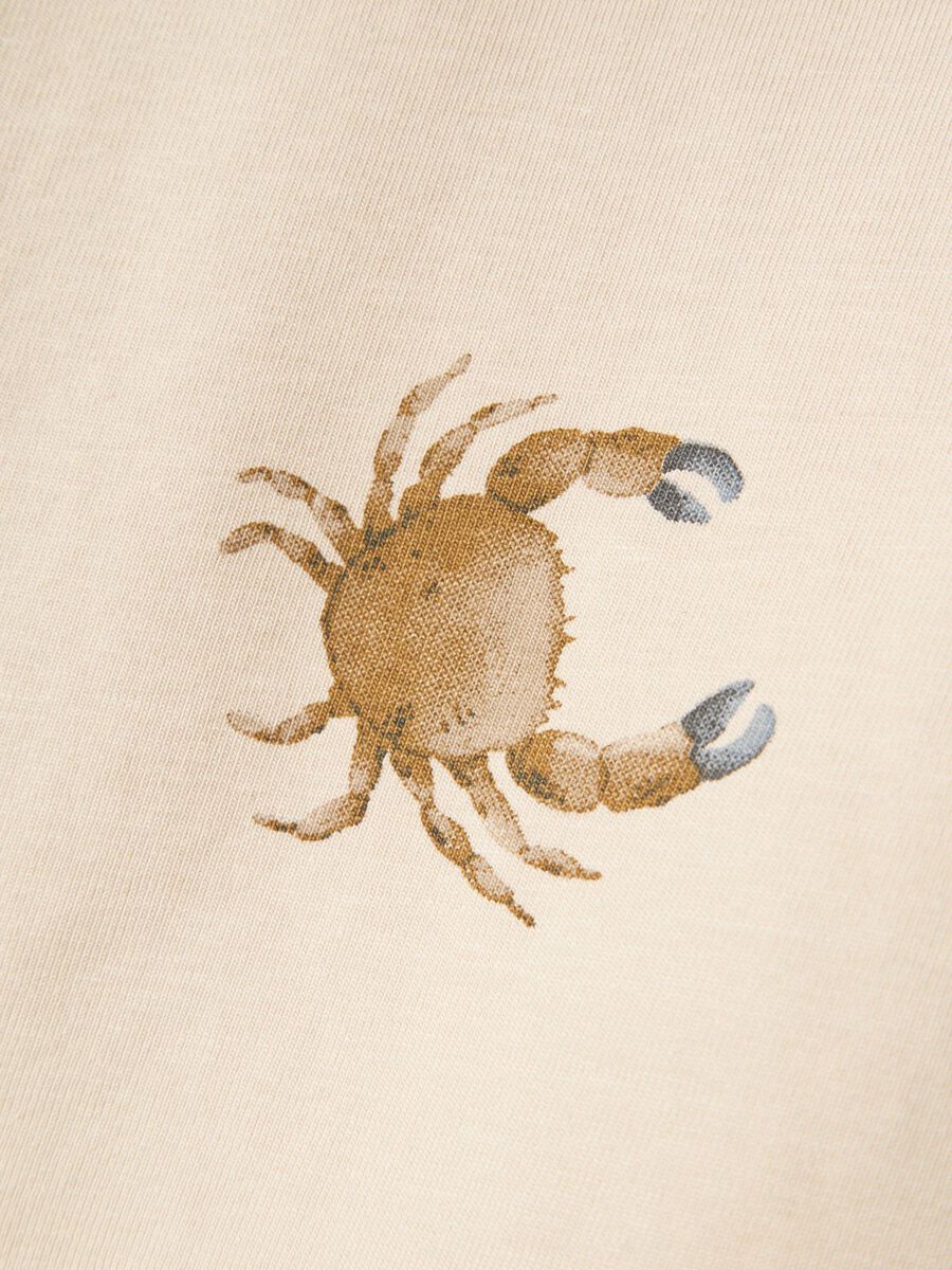 name it ORGANIC COTTON T-SHIRT, Peyote, highres - 13241249_Peyote_005.jpg
