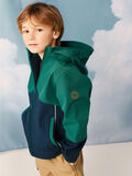 Name it ALFA VESTE SOFTSHELL, Forest Biome, highres - 13209609_ForestBiome_008.jpg