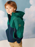 Name it ALFA SOFTSHELL JACKET, Forest Biome, highres - 13209609_ForestBiome_008.jpg