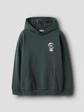 name it COUPE CLASSIQUE SWEAT-SHIRT, Garden Topiary, highres - 13245440_GardenTopiary_003.jpg