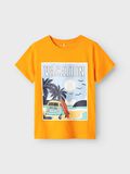 name it REGULAR FIT T-SHIRT, Bright Marigold, highres - 13239199_BrightMarigold_003.jpg