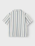 name it STRIPED SHIRT, White Alyssum, highres - 13247457_WhiteAlyssum_1215901_002.jpg