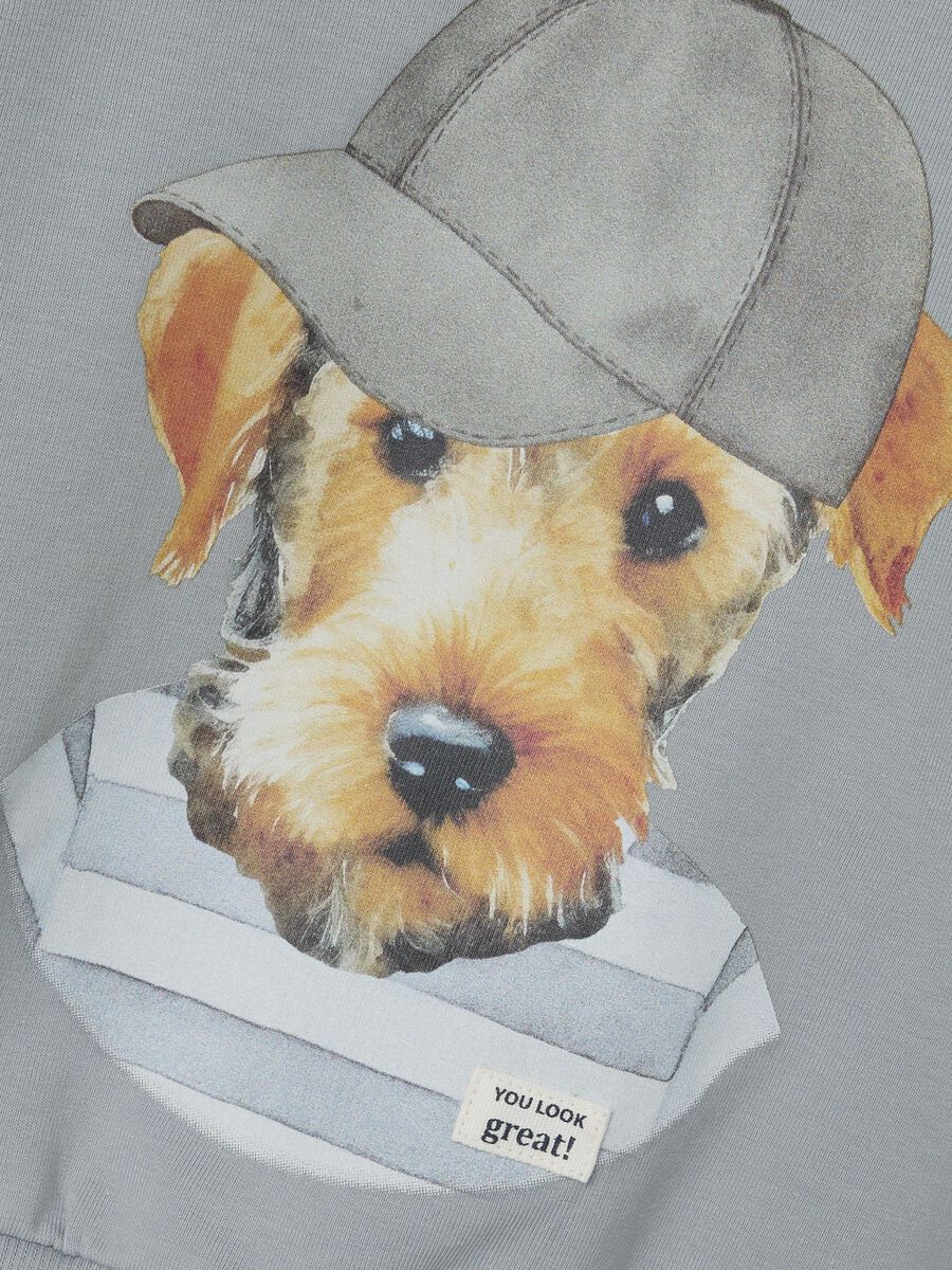 name it EN COTON BIOLOGIQUE SWEAT-SHIRT, Quarry, highres - 13240070_Quarry_005.jpg