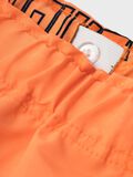 name it POKEMON SWIM SHORTS, Bird of Paradise, highres - 13226910_BirdofParadise_004.jpg