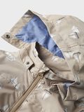 Name it GIACCA, Silver Mink, highres - 13238162_SilverMink_1165995_005.jpg