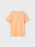 name it NORMAL PASSFORM T-SHIRT, Salmon Buff, highres - 13201047_SalmonBuff_002.jpg